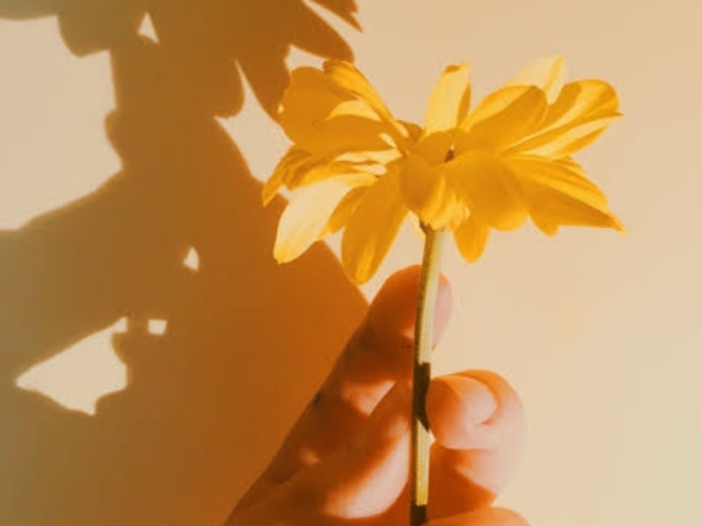 Amarelo