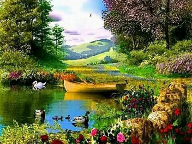Floresta / Bosque / Campo