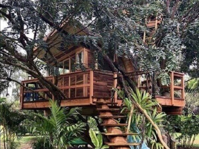 uma linda casa na árvore🤍🌳