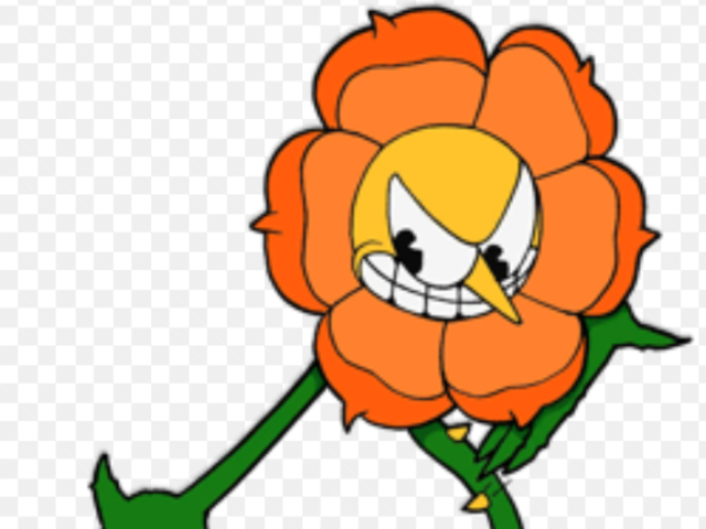 Cagney carnation