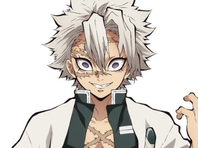 Shinazugawa Sanemi