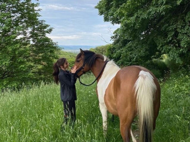 Andar a cavalo 🐎