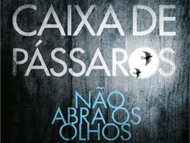 Caixa de passaros