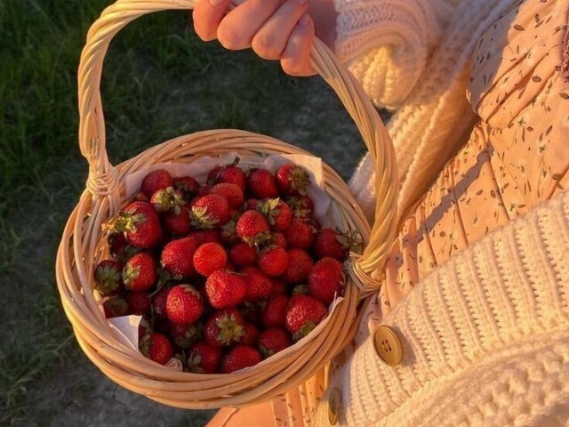 Morango