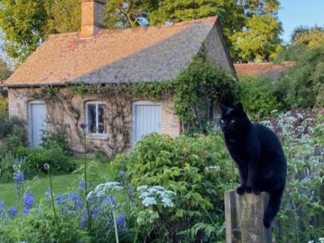 Um campo com uma vida tranquila