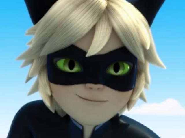 Cat noir