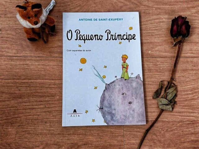 Presente 1 tinha: Livro do Pequeno Princípe!