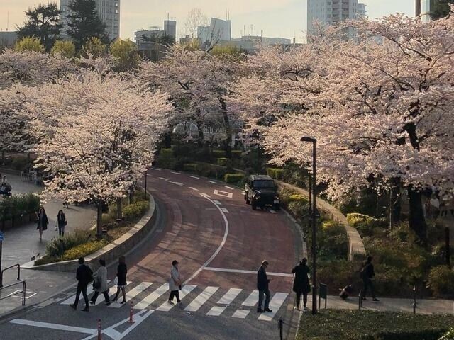 Em uma caminhada no bosque