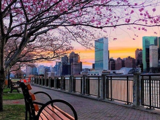 Em um parque pra apreciar a vista e correr