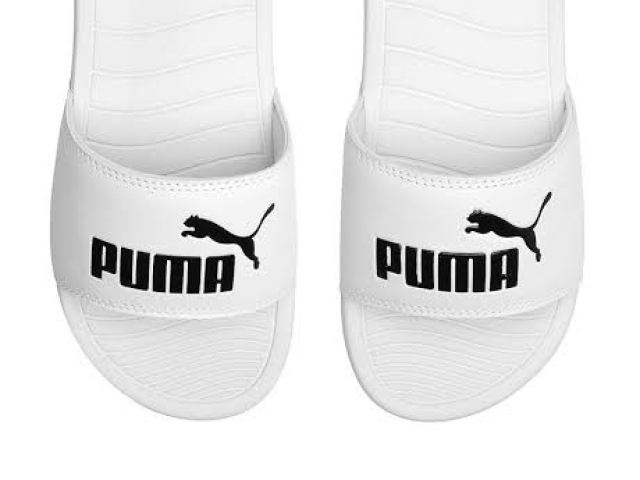 Slide puma