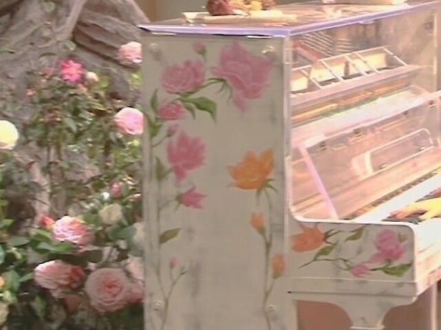 Rosa໒꒱ ⋆゚⊹