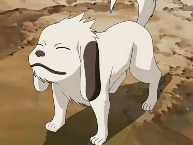 Akamaru