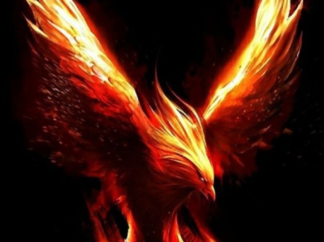 Fenix :O