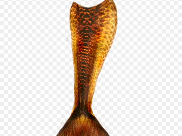 dourado