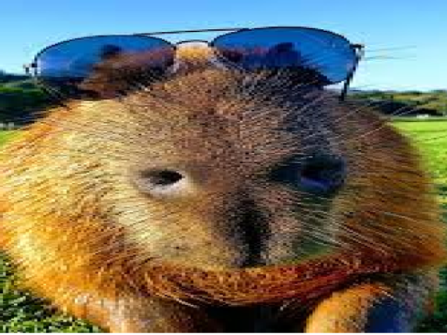 capivara