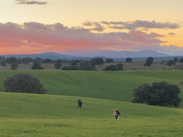 pôr do sol passeando