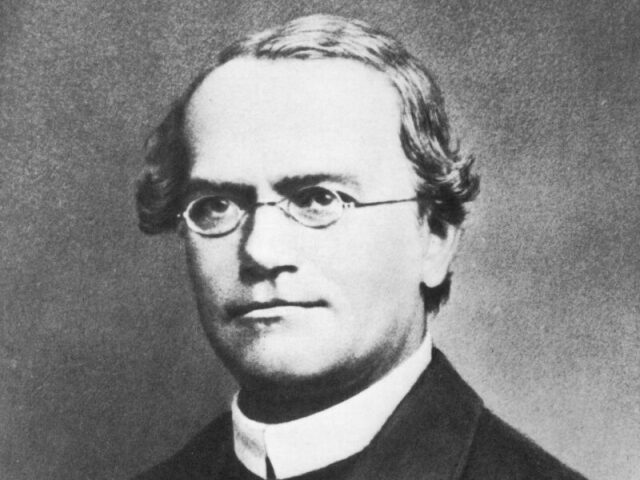 MENDEL