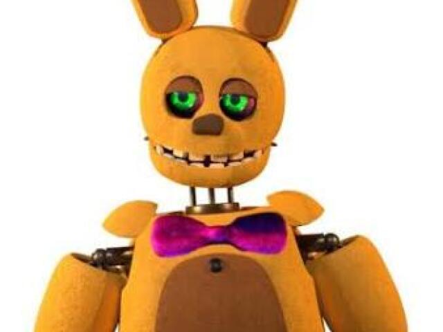 Spring Bonnie