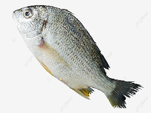 Peixe