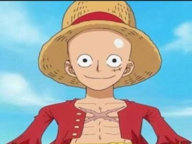 Luffy calvo