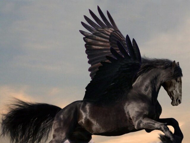 Pegasus