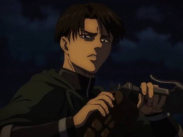 Levi