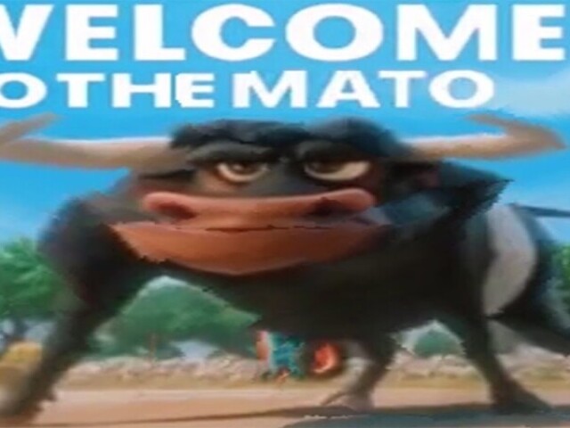 Welcome to the mato