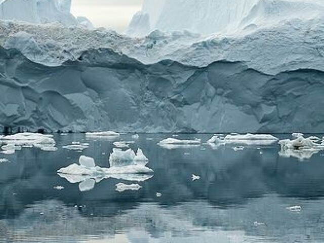 Mares glaciais, onde poucos animais aguentam viver