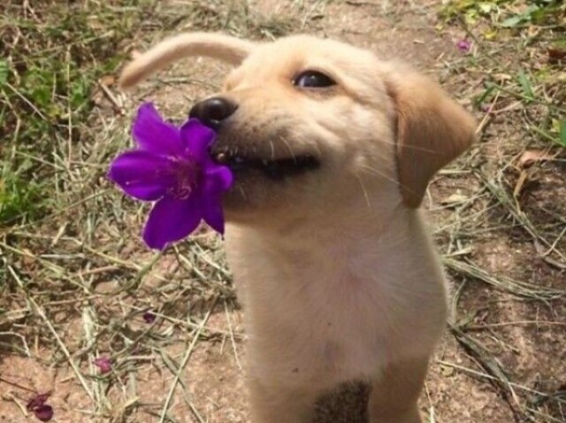 ๐