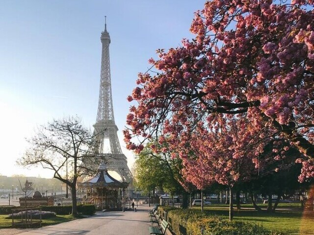 em paris intoxicada pq comeu croissant com rato