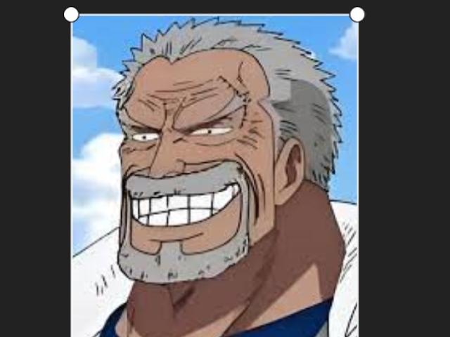 Monkey D.Garp