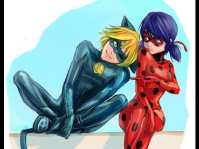 Ladybug e Catnoir