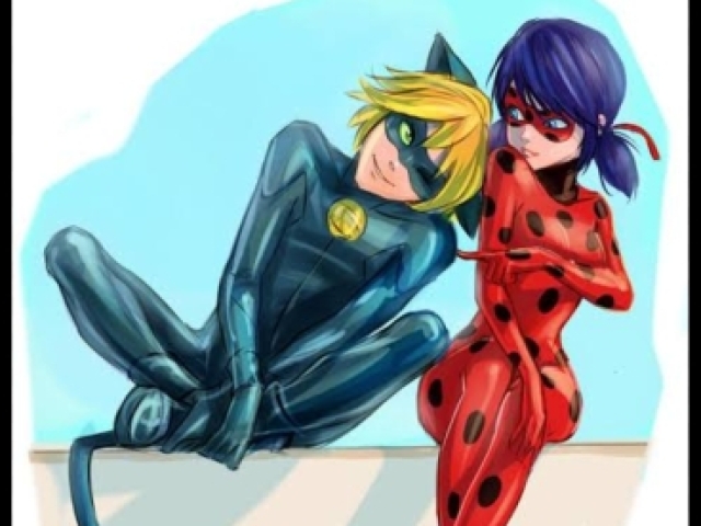 Lady bug e cat noienoir