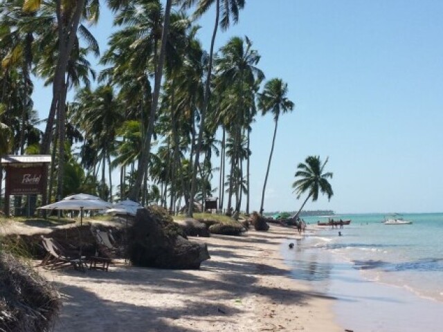 verão 💛