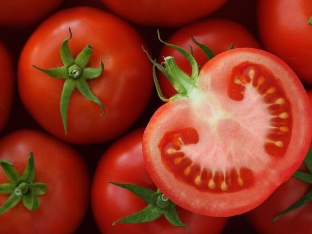 Tomate