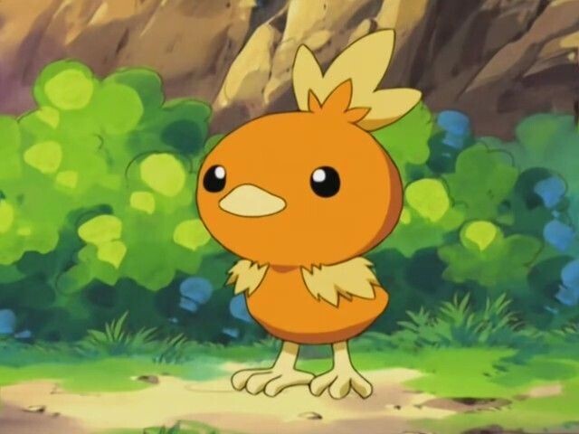 Torchic