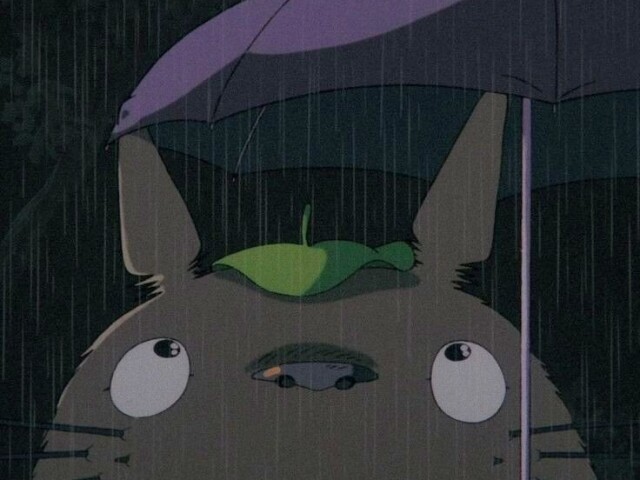 Meu amigo totoro