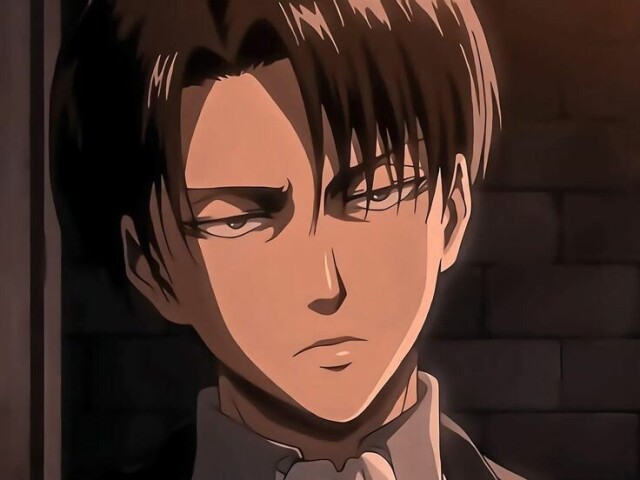 Levi ackerman