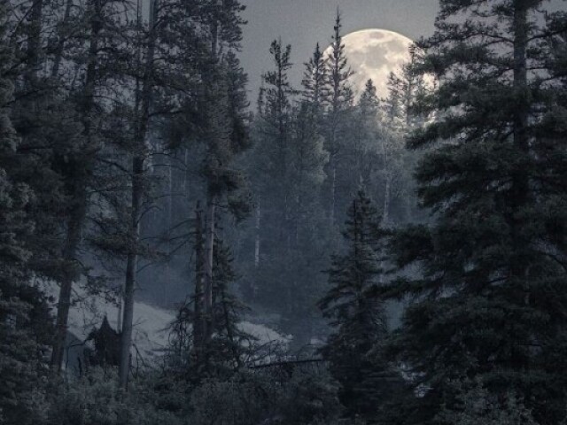 Este leva a montanhas caminhos iluminado pela lua e com cheiro de cadáveres