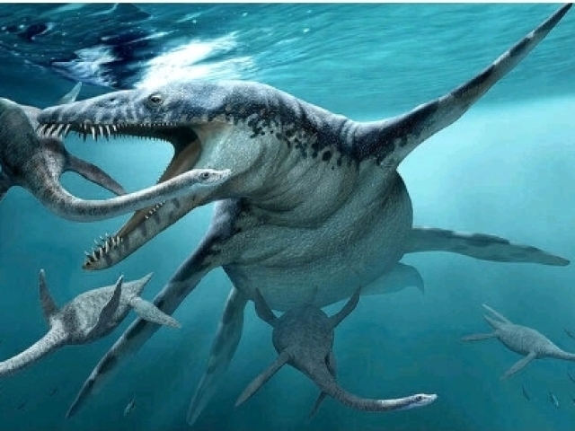 Oceano(dinossauros marinhos🦖🐊🌊.