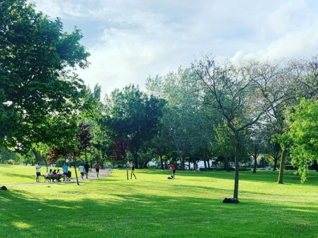 Parque