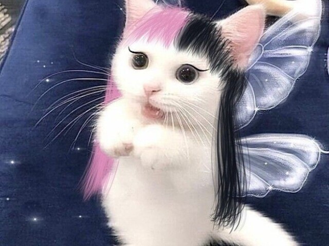 𝙴𝚜𝚌𝚘𝚕𝚑𝚒 𝚖𝚊𝚌𝚑𝚘
