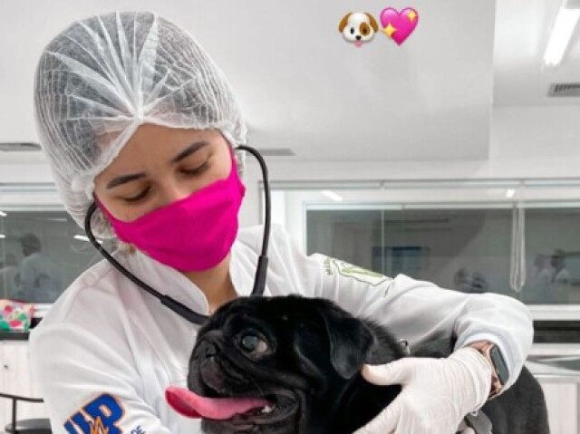 Veterinária