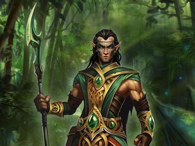 Druid