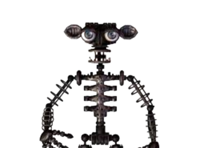 Indo skeleton