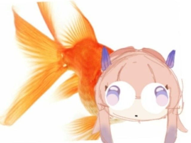 💁♀️, 🥰, 😭, 👉, 👈, 🕊️ e 🖤
