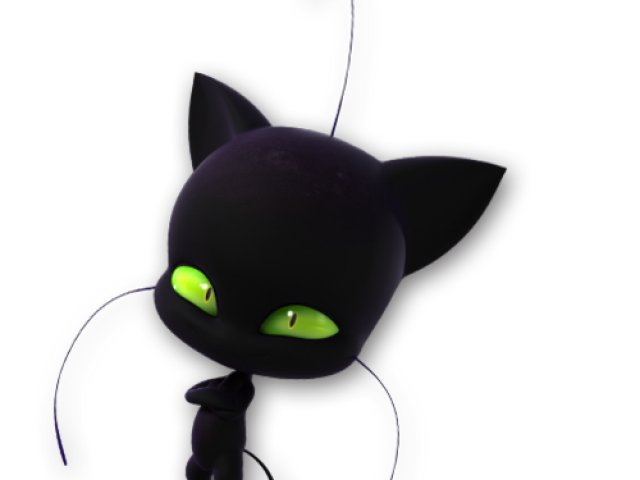 Black ( gato )