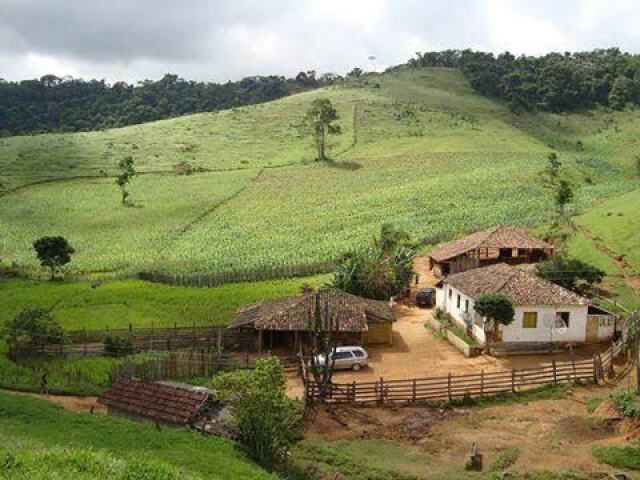 No campo, rodeado por um enorme jardim