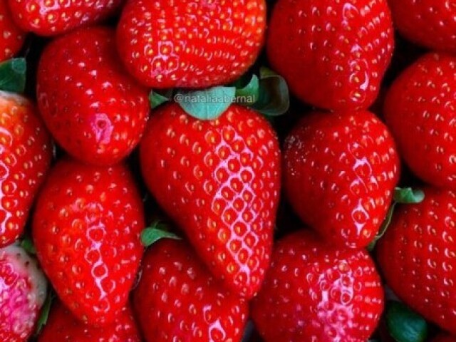 🍓 morango🍓