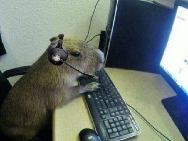 Capivara